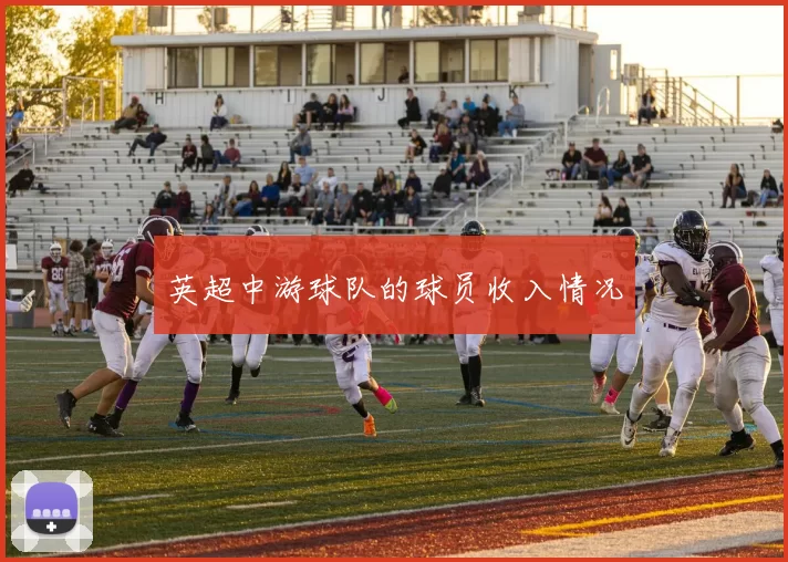 英超中游球队的球员收入情况