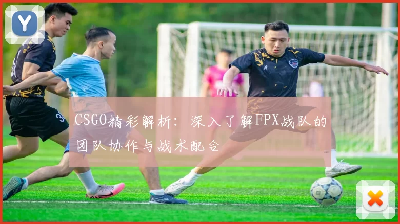 CSGO精彩解析：深入了解FPX战队的团队协作与战术配合
