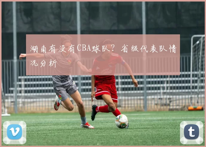 湖南有没有CBA球队？省级代表队情况分析