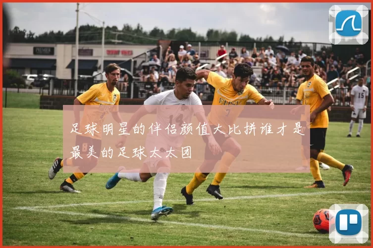 足球明星的伴侣颜值大比拼谁才是最美的足球太太团