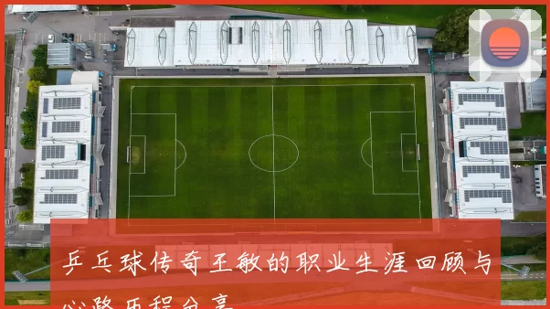 乒乓球传奇王敏的职业生涯回顾与心路历程分享