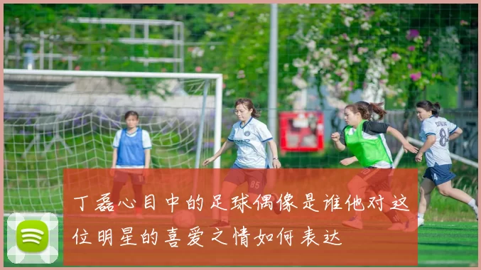 丁磊心目中的足球偶像是谁他对这位明星的喜爱之情如何表达