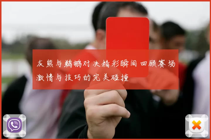 灰熊与鹈鹕对决精彩瞬间回顾赛场激情与技巧的完美碰撞