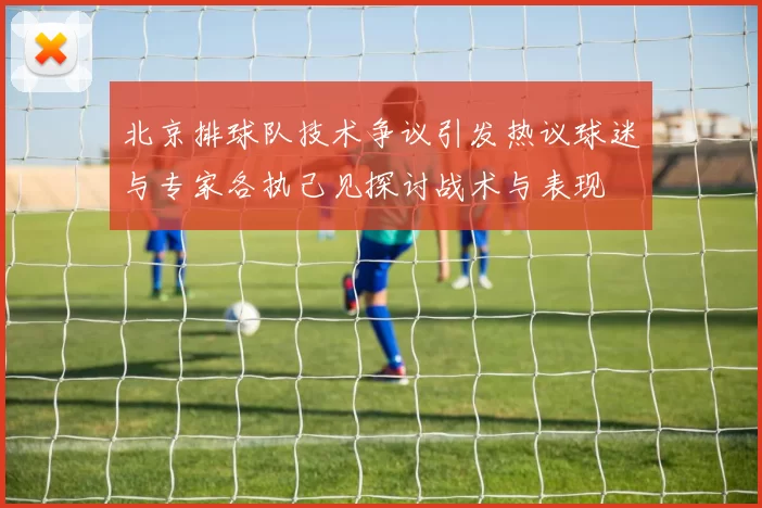 北京排球队技术争议引发热议球迷与专家各执己见探讨战术与表现